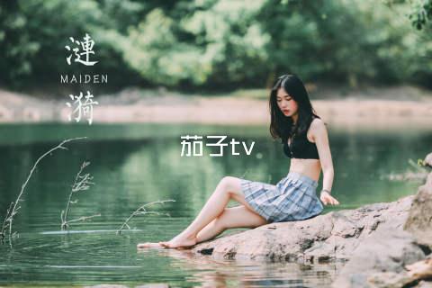 茄子tv